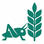 thecricket.pt logo